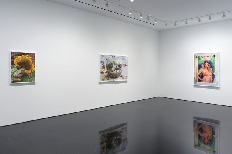 Polychronic Visual Roe Ethridge American Polychronic Gagosian Exhibition | Hypebeast