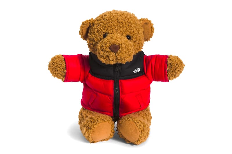 North face 2025 teddy bear jacket