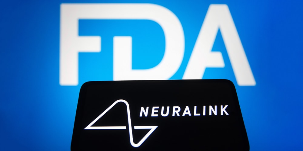Запрос Neuralink начать испытания мозгового имплантата на людях, как сообщается, отклонен FDA