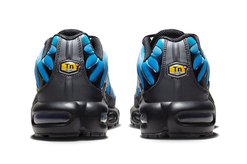 air max plus blue and purple