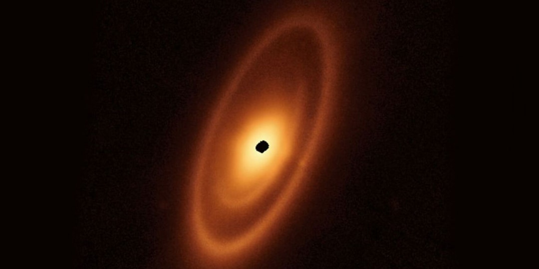 Космический телескоп НАСА «Уэбб» сделал фотографию первого пояса астероидов, обнаруженного за пределами нашей Солнечной системы