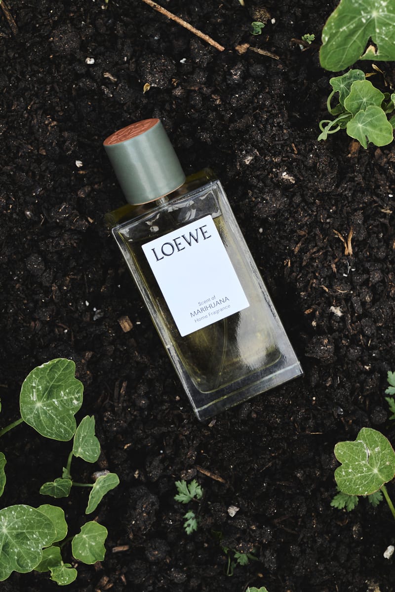 Loewe discount home fragrance