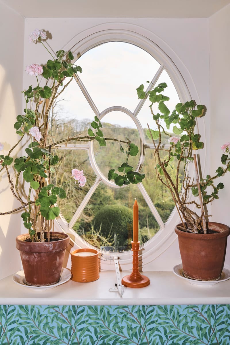 loewe botanical inspiration キャンドル LOEWE Releases Floral 2023 Home Scents Campaign | Hypebeast