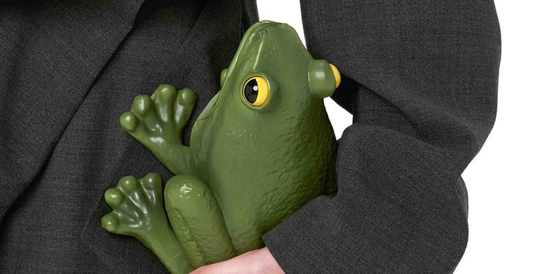 Frog bag on sale