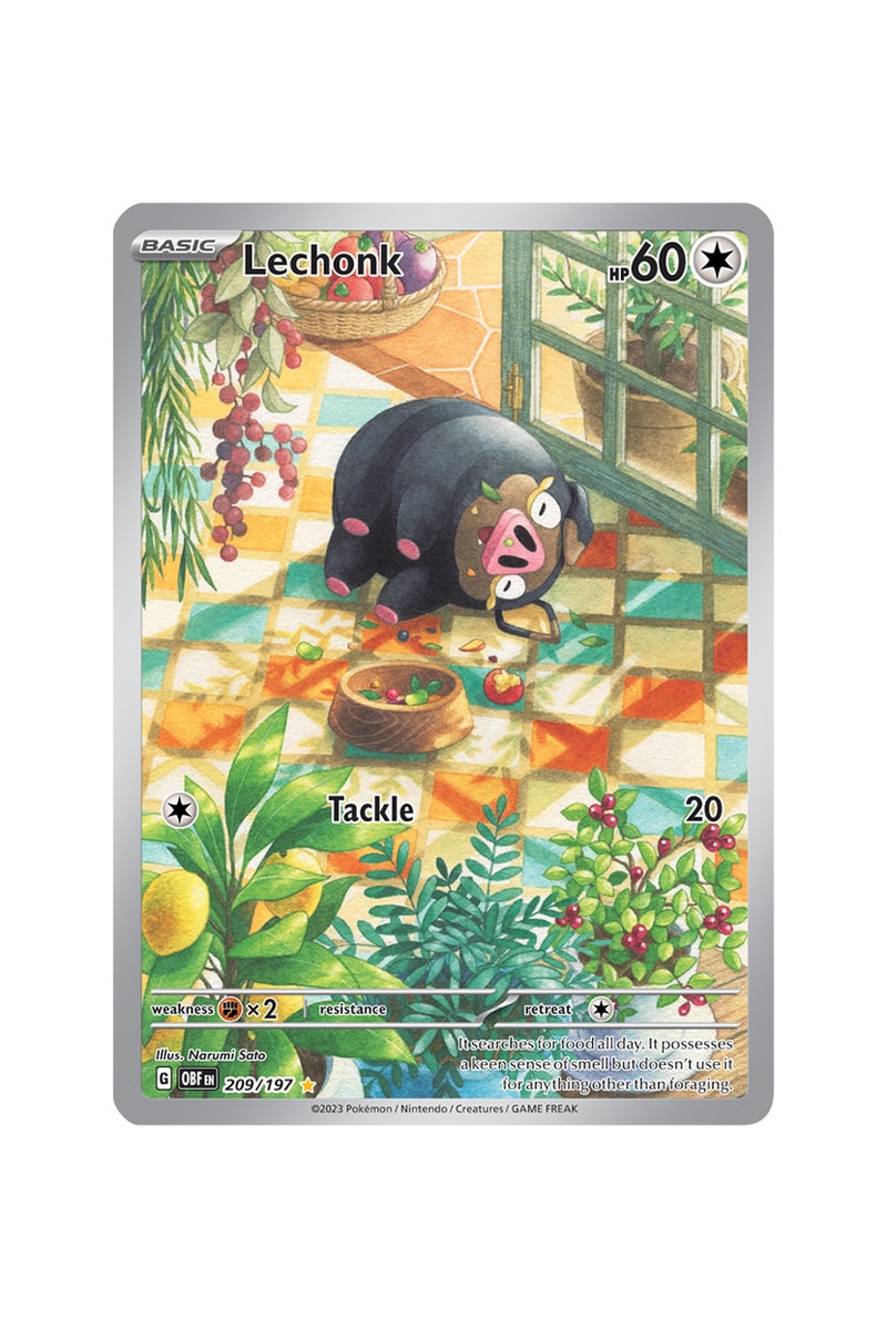 Pokémon TCG: Obsidian Flames Illustration Rare Card List | Hypebeast