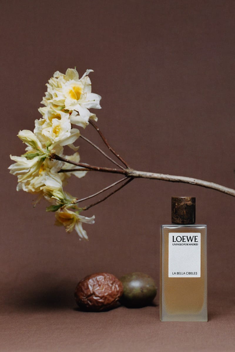LOEWE Perfumes 