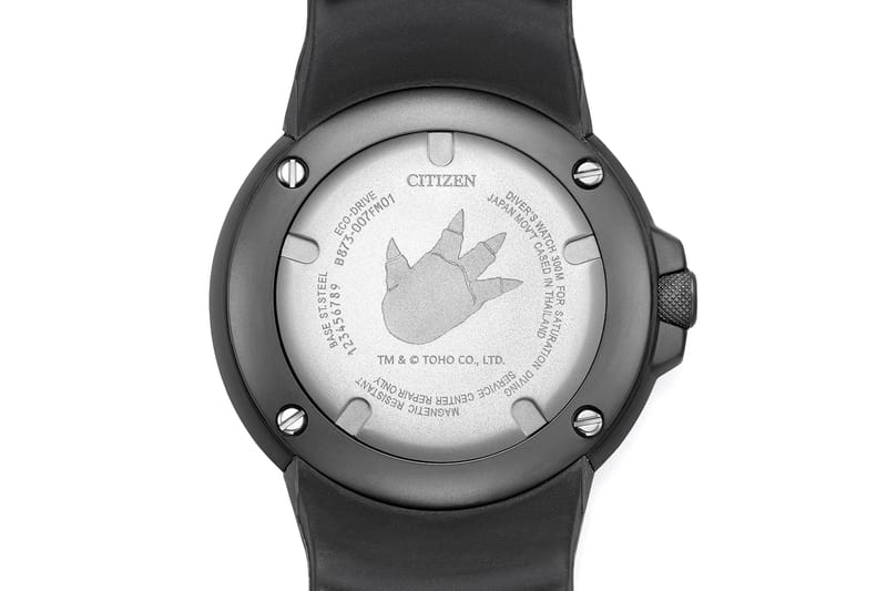 Citizen clearance promaster ecozilla