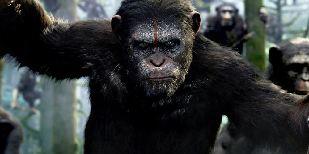 'Kingdom of the Planet of the Apes' Teaser Trailer | Hypebeast