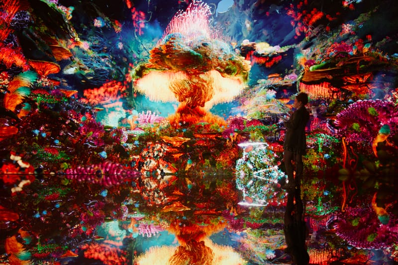 Refik Anadol Large Nature Model AI Generative Model | Hypebeast