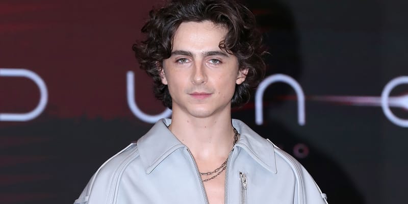 First Look Timothée Chalamet Bob Dylan Surfaced | Hypebeast