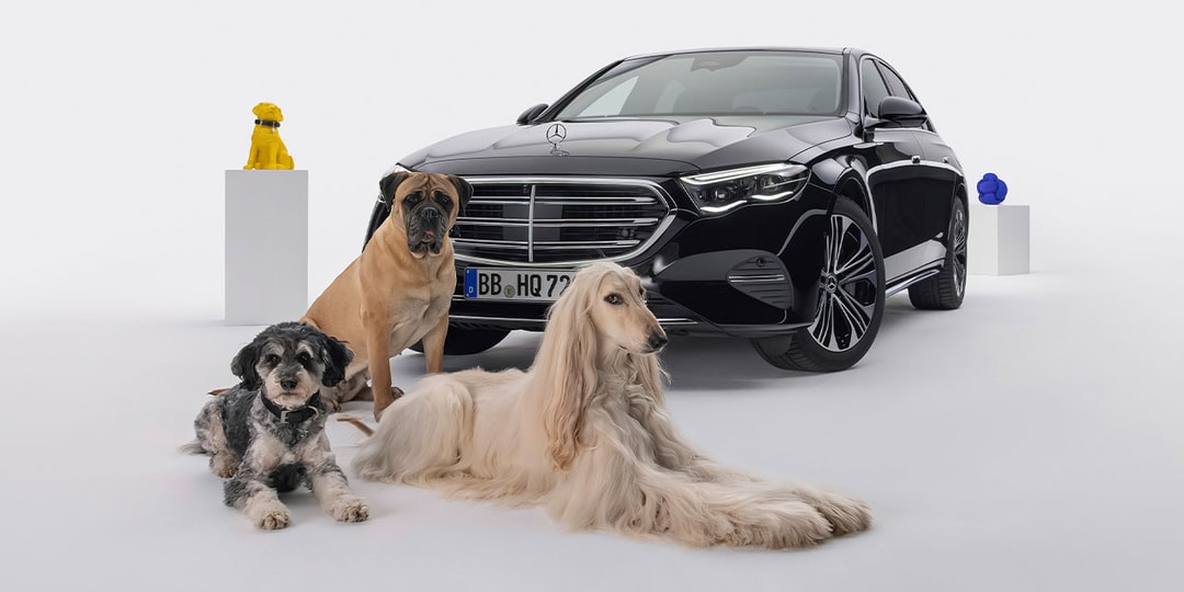 Mercedes-Benz представляет инновационную систему MBUX «Lark Assist» для собак