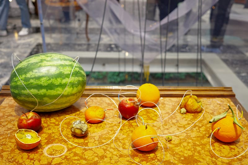 Top 10 National Art Pavilions Venice Biennale 2024 Hypeart