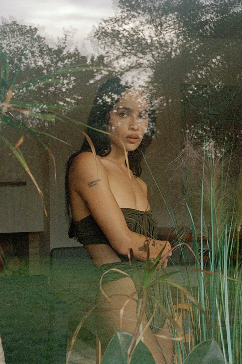 Maurice Utrillo、RIVAGE BRETON、海外版超希少レゾネ Rlc. Toshie Aoki 'Pizzazz' — Palmer Orchids