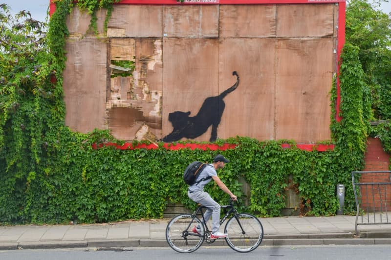 Banksy Reveals True Meaning Behind 'London Zoo' Works | Hypebeast