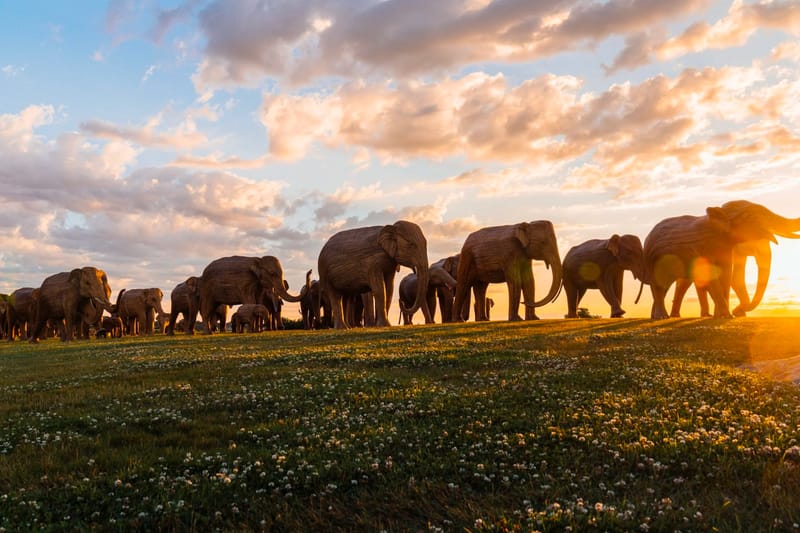 The Great Elephant Migration New York Sculptures | Hypebeast