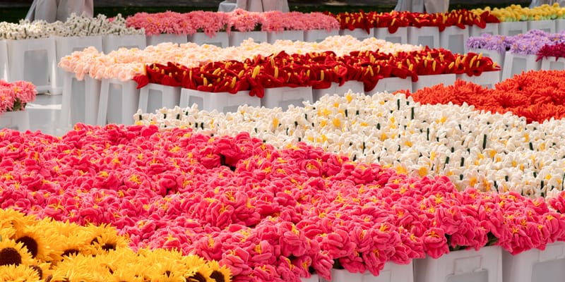 Cj Hendry's 'Flower Market' Exhibition at New York's Roosevelt