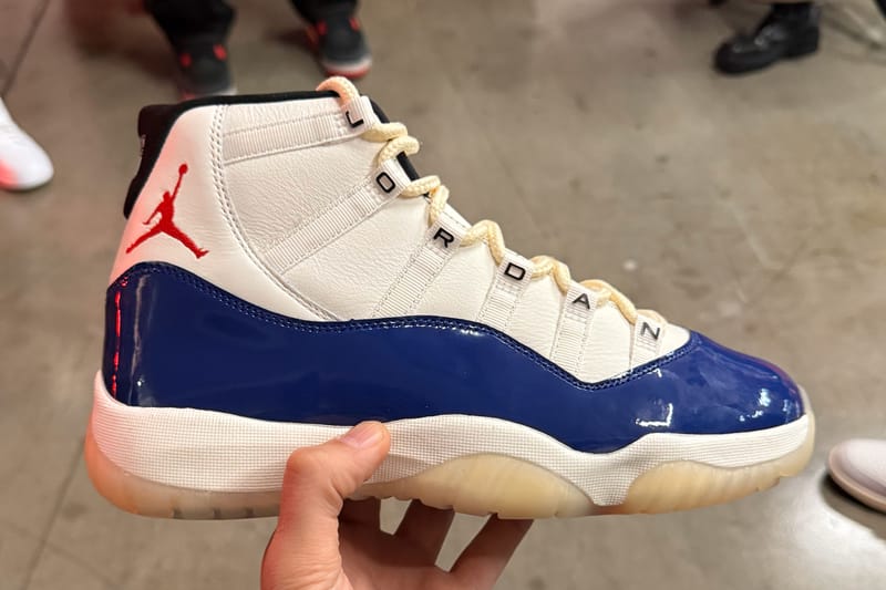 This Wild Air Jordan 11 