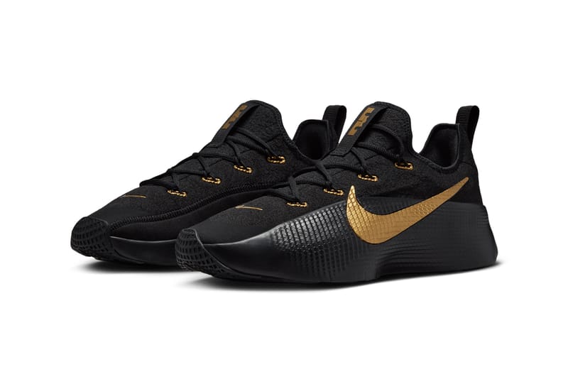 ナイキ] レブロン TR 1 LEBRON TR 1 ベルベットブラウン/ファントム