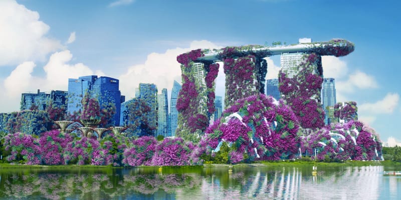 Highland Park Heather Takeover Singapore Info | Hypebeast
