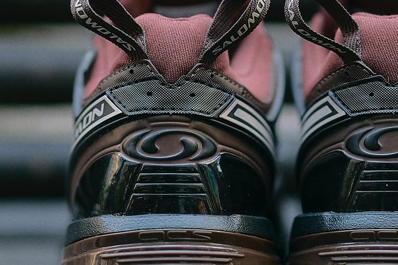 国内配送 SALOMON ACS PRO GORE-TEX ROASTED CLAY Salomon ACS Pro GTX Sneaker » Buy online now!