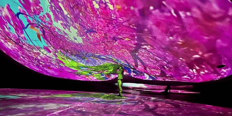 アート・デザイン・音楽 Pipilotti Rist, Congratulations!, 2007. Pipilotti Rist
