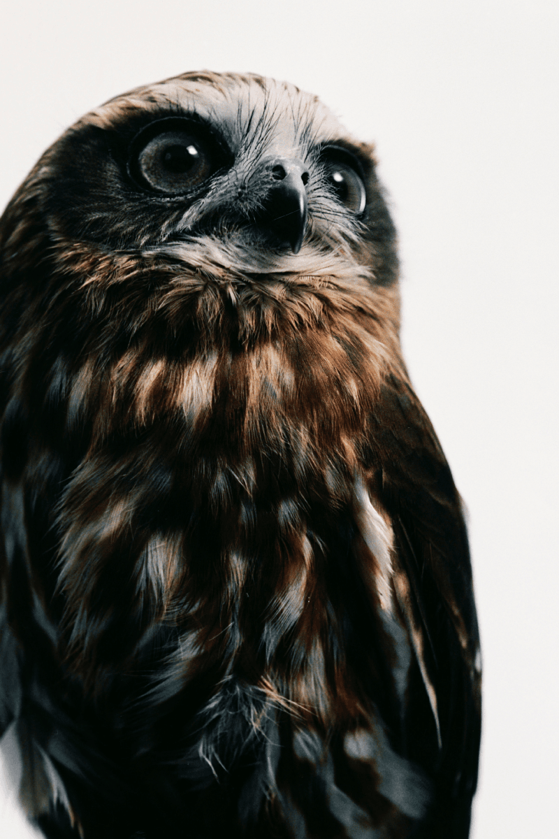 Samsøe Samsøe 携手 Schott NYC 推出限量联名外套胶囊系列 | Hypebeast