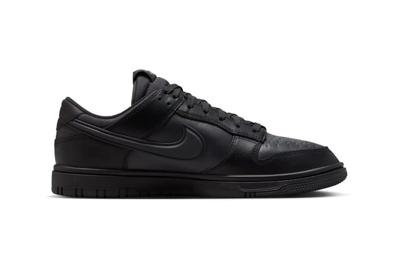 Official Look Nike Dunk Low GTX 