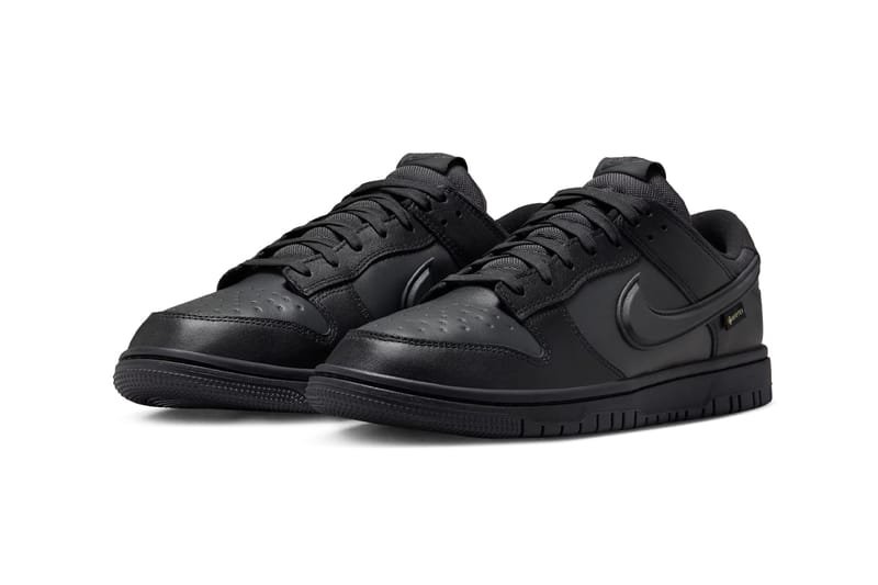 Official Look Nike Dunk Low GTX 