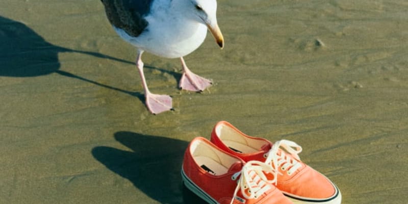BEAMS BOY x Vans Authentic “Vintage Orange” Release Info | Hypebeast
