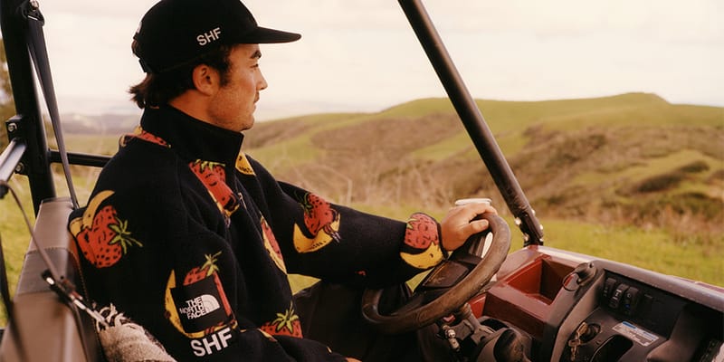 x Zip 1/2 Fleece Face North The farm high ビーニーsky farm high Sky Sky NF0A8HNBNY1 - Goods Farm High 帽子