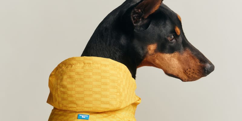 Kith for wagare First Pet Collection Release Info | Hypebeast