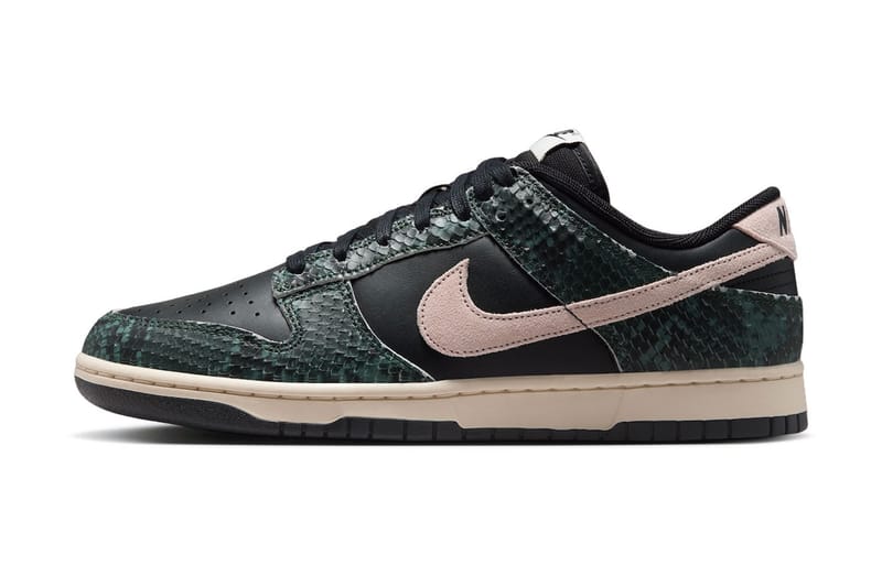 NBA x Nike Dunk Low 