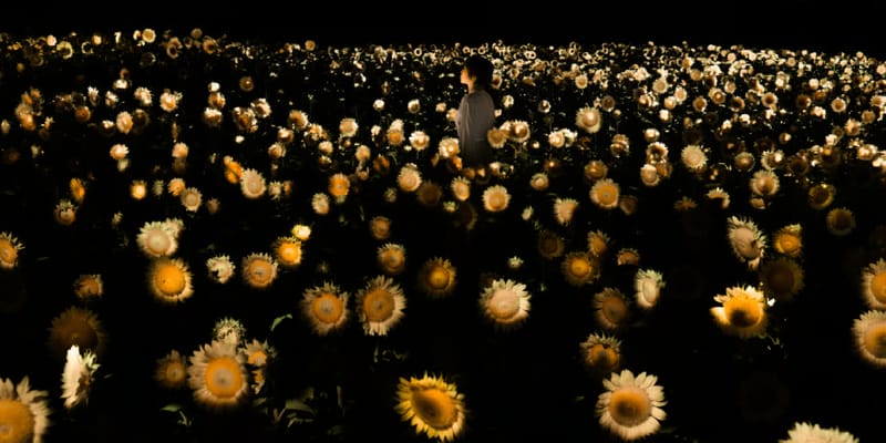 teamLab 'Small Sun Flickering in the Dark' Osaka | Hypebeast