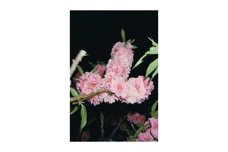 No. 223, Saint Laurent Rive Droite에서 관능에 빠져들게 하다 이미지 6