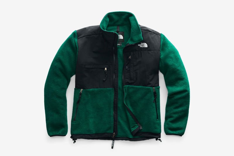 The north face online polaire denali