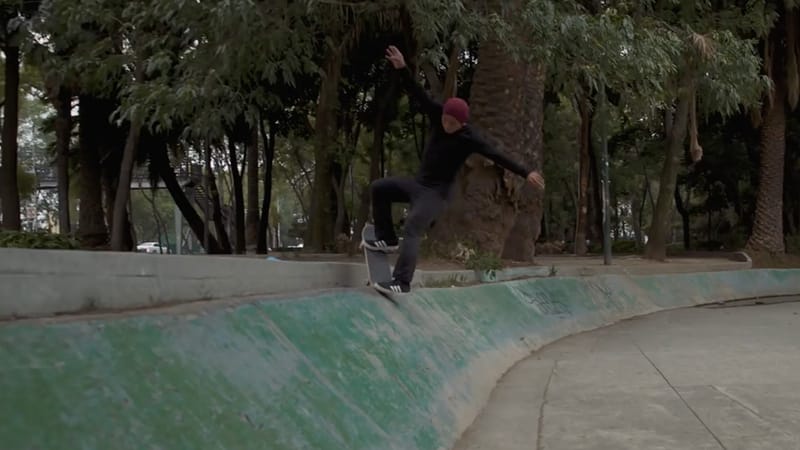 Adidas skateboarding mexico sale