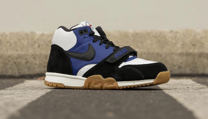 SEE HOW THE POLAR X NIKE SB AIR TRAINER 1 S SKATE The Berrics