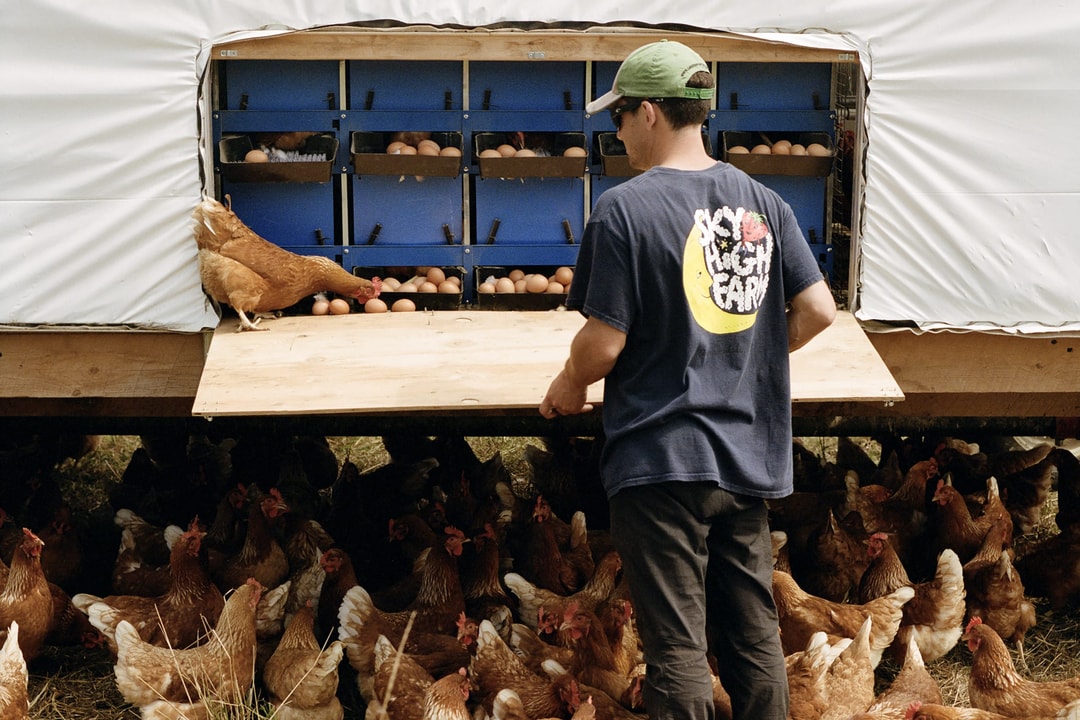 Sky High Farm Universe 如何将农场、时装、艺术、食物主权有机融合? | Hypebeast