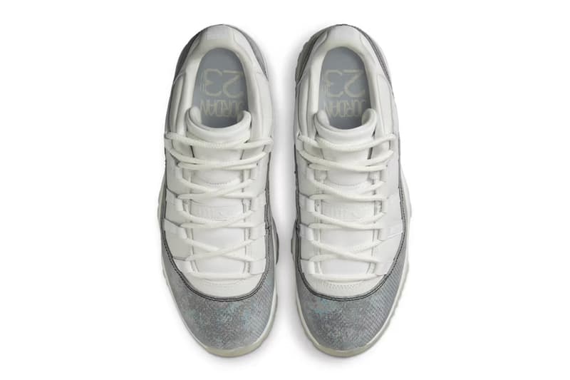 大蛇　辰 Jaeger's Ground Snake 野格地蛇（Erythrolamprus jaegeri）分布