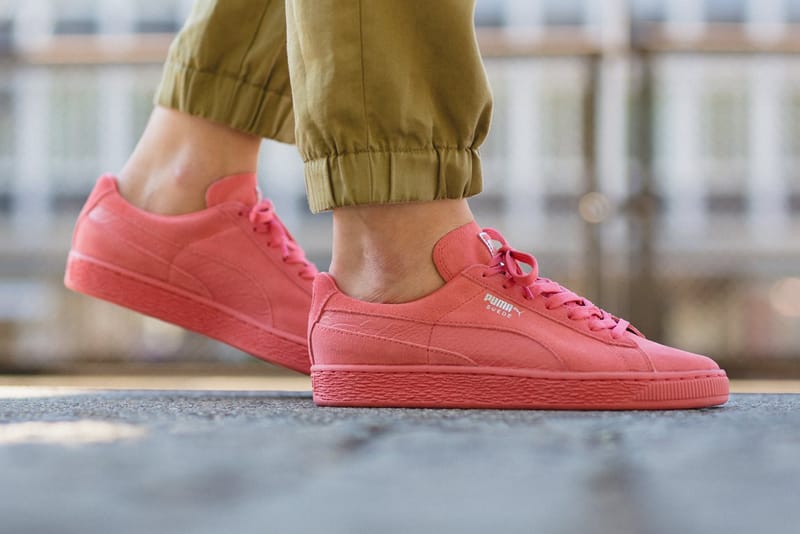 monos puma monos puma