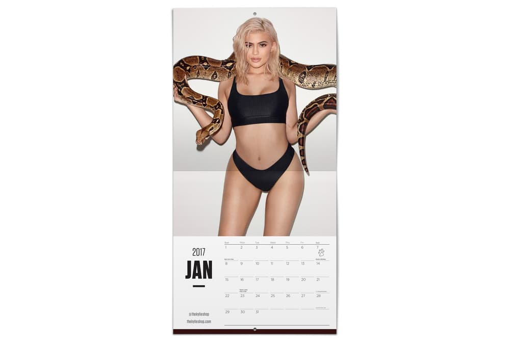 Kylie Jenner New Calendar Famous Person