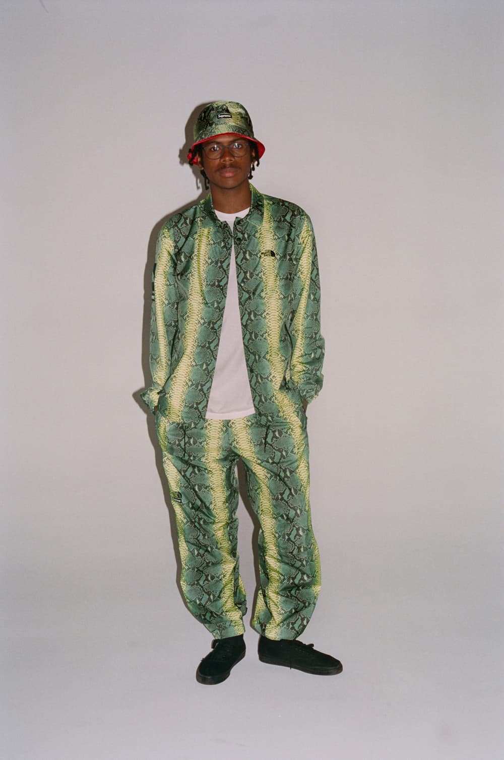supreme north face snakeskin pants