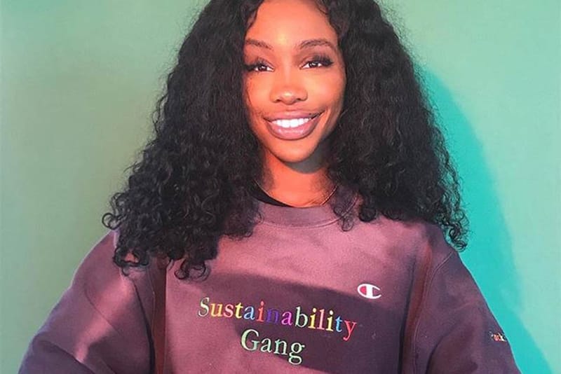 Sza champion store hoodie