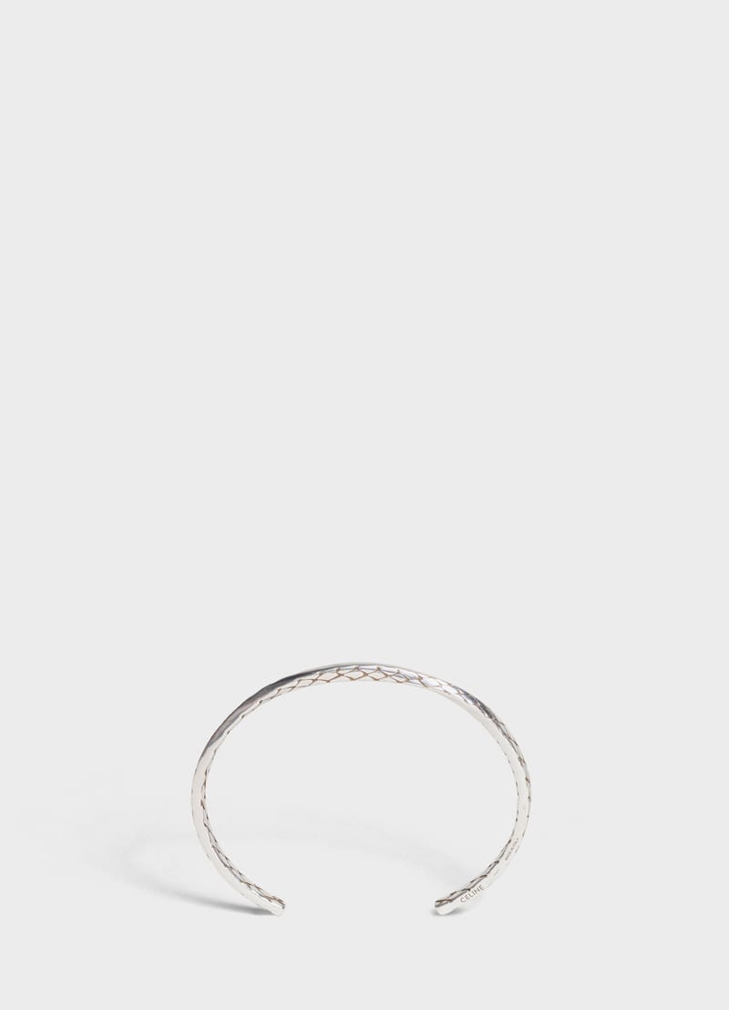 Celine Spring 2019 Jewelry Collection Lookbook Hypebae