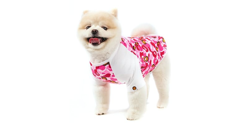 Bathing ape dog clearance hoodie