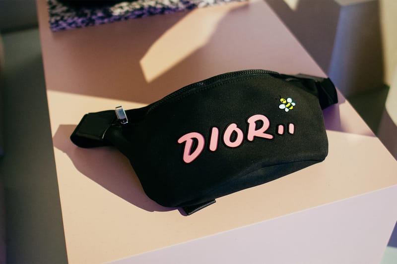 Dior x sale kaws belt bag