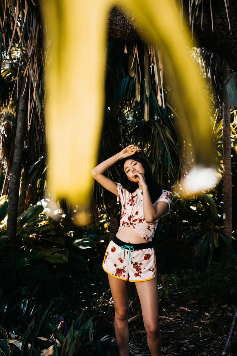 nova sue tsai