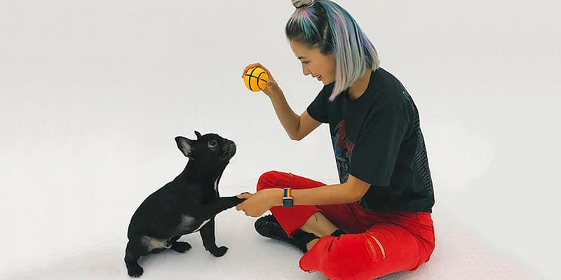 The Cutest Celebrity Pets To Follow On Instagram | Hypebae