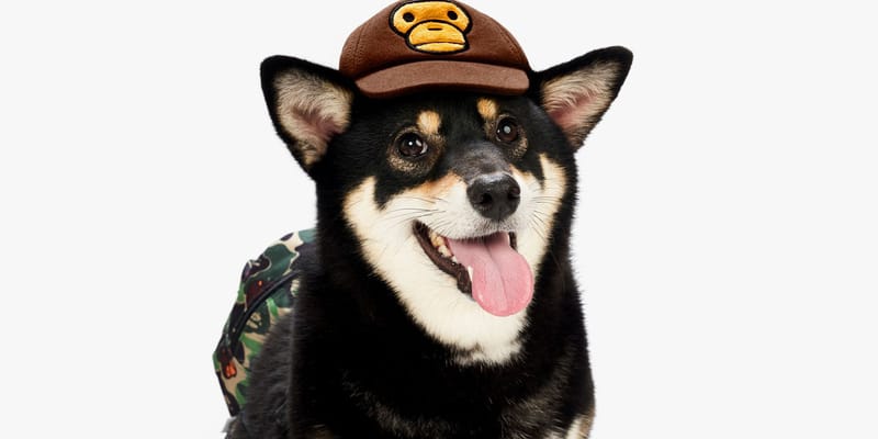 baby-milo-bape-pet-collection-