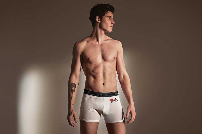 Shawn mendes hotsell calvin klein 2019